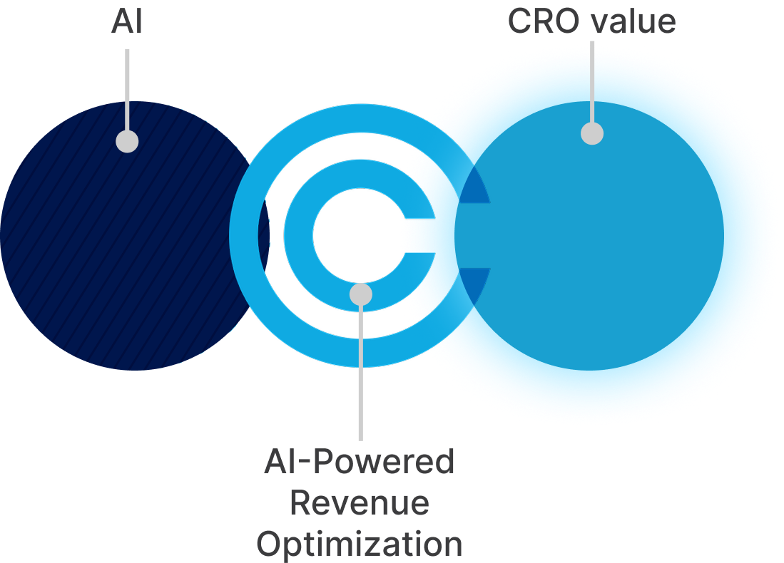 Executive Program Summary